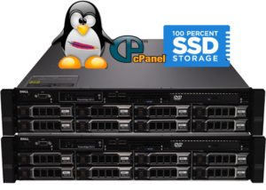 SSD Hosting